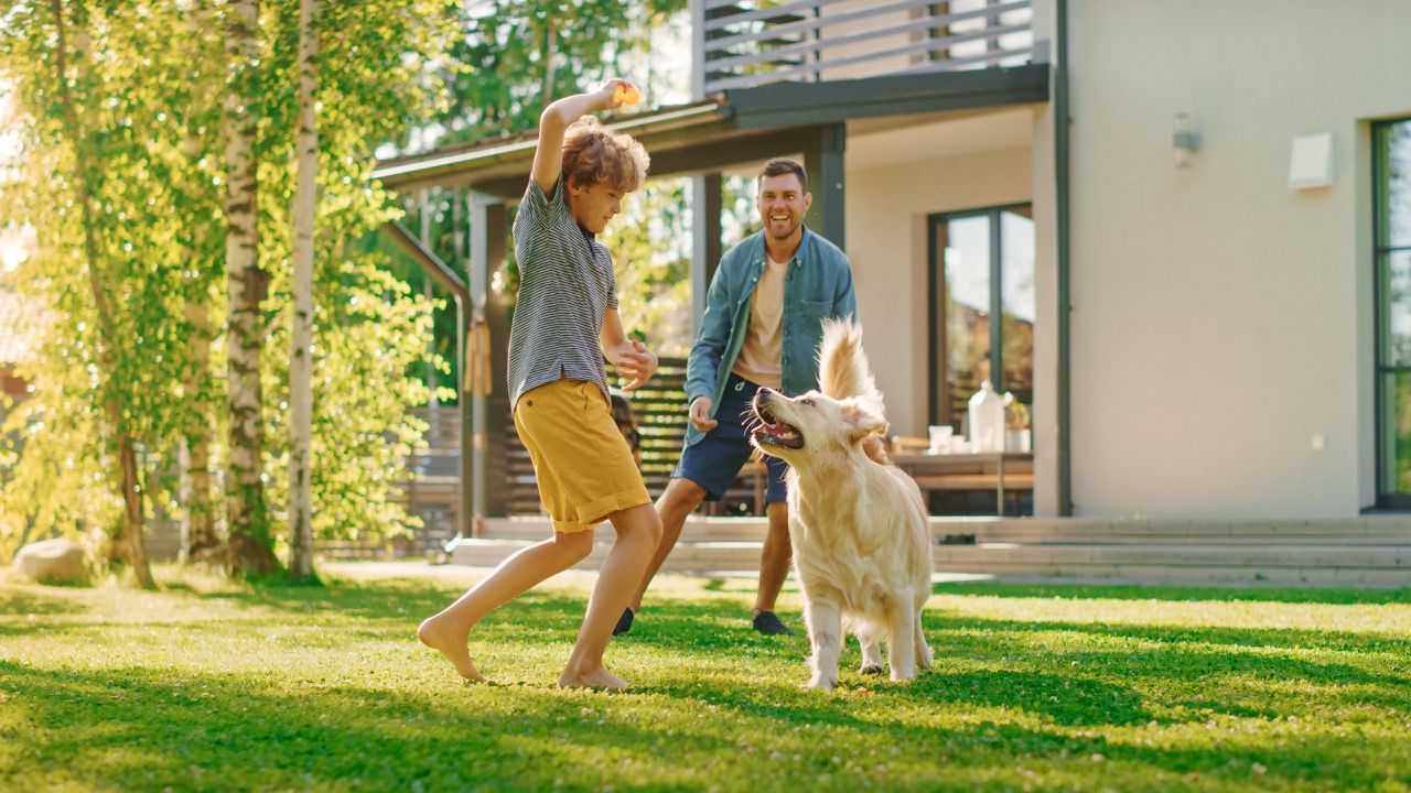 Die richtigen Versicherungen für Immobilienbesitzer